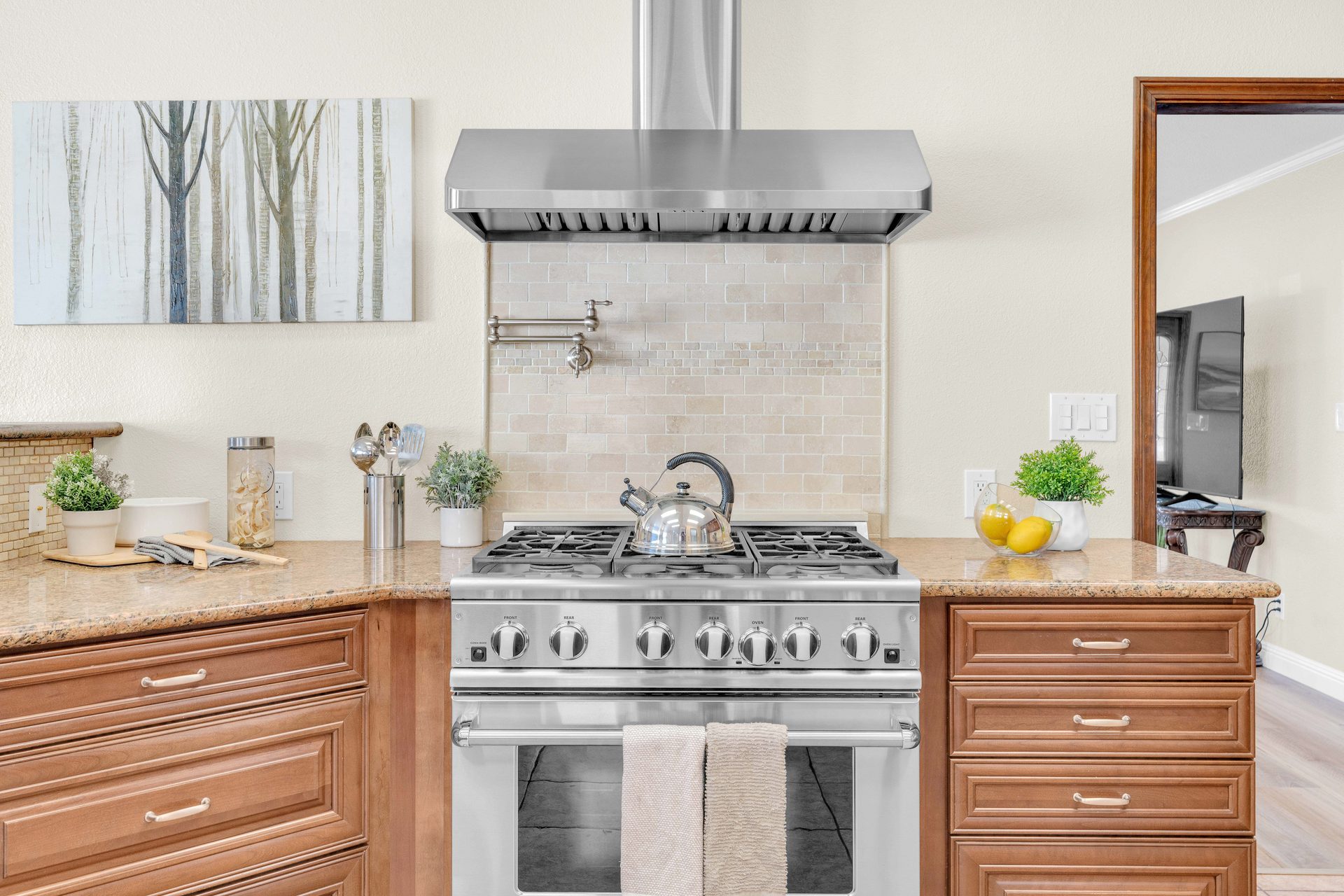 DCS range and hood
